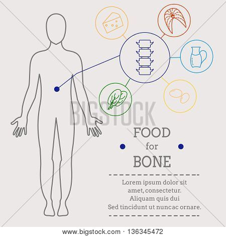 Food for bone. Healthy food with organic food infographic. Food trend health care concept. Medical info. Instructions for each