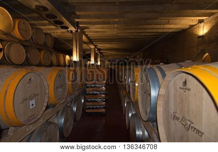 Jose Ferrer Vineyard