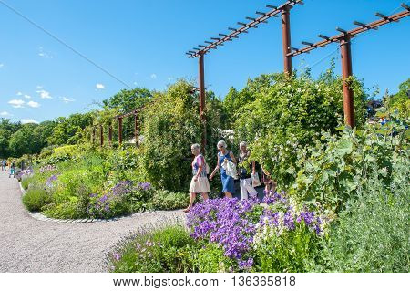 STOCKHOLM - JUNE 24: Rosendals garden  in Stockholm. .  Rosendal is a historic public garden known as one of the best places for having a coffee in Stockholm.