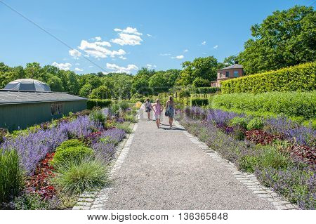 STOCKHOLM - JUNE 24: Rosendals garden  in Stockholm. .  Rosendal is a historic public garden known as one of the best places for having a coffee in Stockholm.