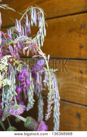 Flowers of willow-herb on the background of wooden boards