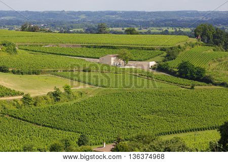 Famous French Vineyard at Saint Emilion town near Bordeaux, France