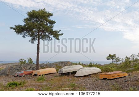 Boats laying upside down a single pine tree and the sea in the background. No people