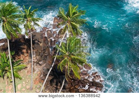 Beautiful ocean in Sri Lanka. View from top of lighthouse Dondra. Palms and ocean from high viewpoint.