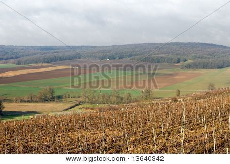 Bağlar, Champagne, Fransa