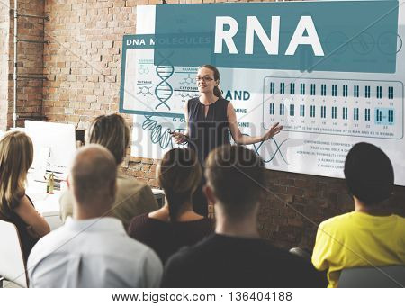 RNA Ribonucleic Physical Molecule Evolution Concept