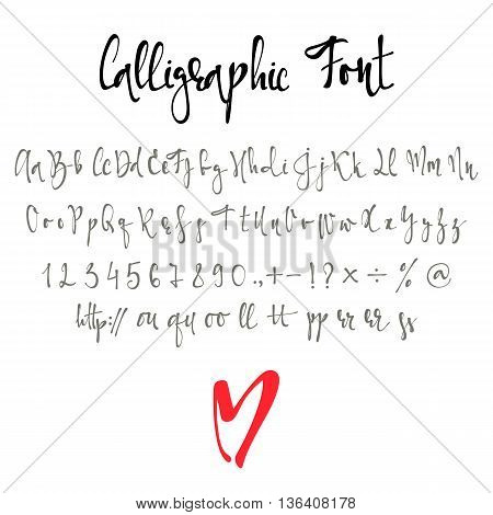 Modern Calligraphy Alphabet  Calligraphy fonts alphabet, Modern calligraphy  alphabet, Lettering alphabet