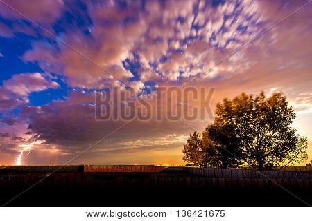 tree in a field at nigh lit up by the moon with clouds and lightning