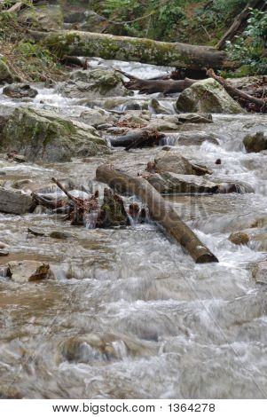 フォレスト内のクリーク