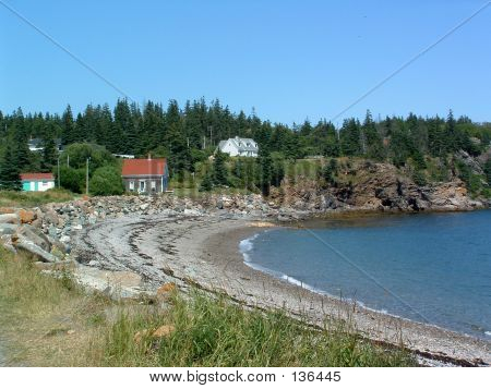 The Cove