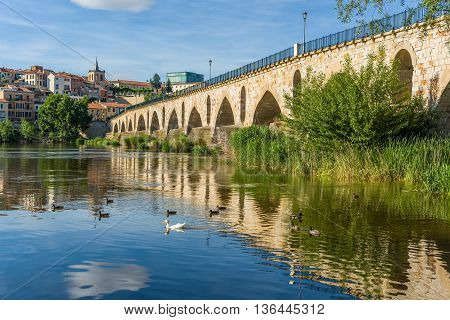 Stone Bridge Over Duero River. Zamora, Castilla Y Leon, Spain.