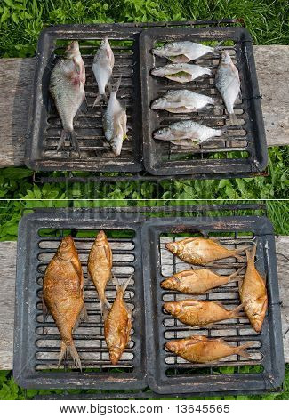 Freshwater and Smoked fish