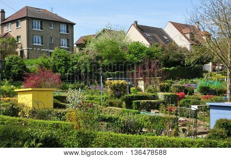 Verneuil sur Seine France - mai 2 2016 : the allotment garden in spring