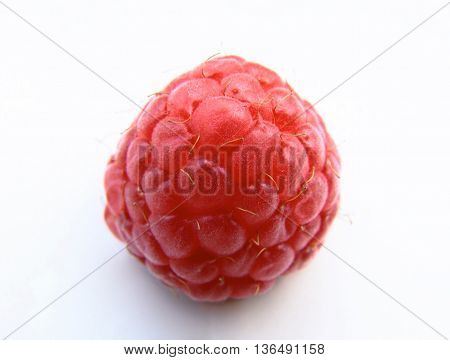 Closeup Of One Red Raspberries