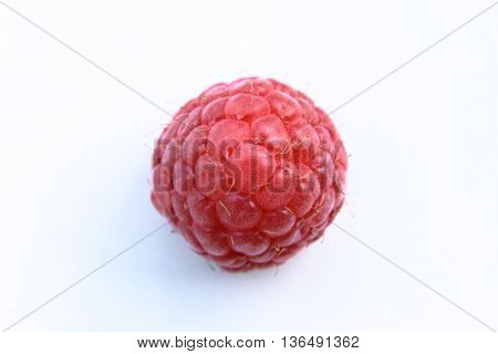 Closeup Of One Red Raspberries