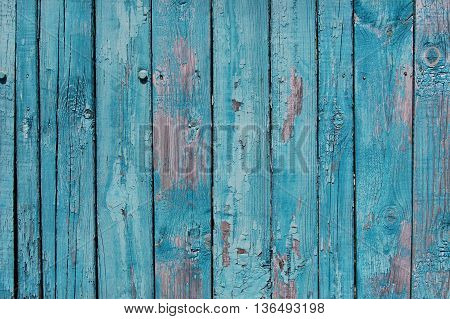 Blue wooden planks with cracked paint, old wooden fence, shabby background