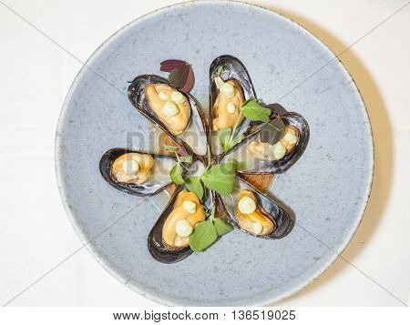 seafood in new nordic style food design