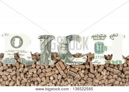 Pressed pallet with of hundred dollar banknotes carved the word RICH in the foreground with space for text on top isolated on white background