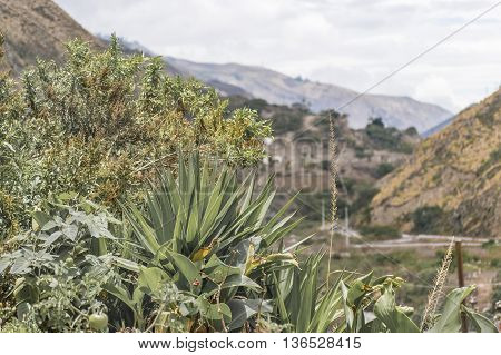 Nariz Del Diablo Trip Landscape Scene