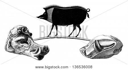The Boar Erymanthian, vintage engraved illustration. Magasin Pittoresque 1861.