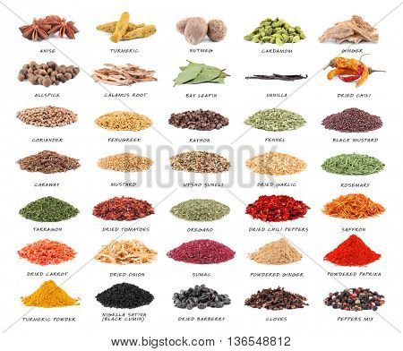 Set of different spices isolated on white background