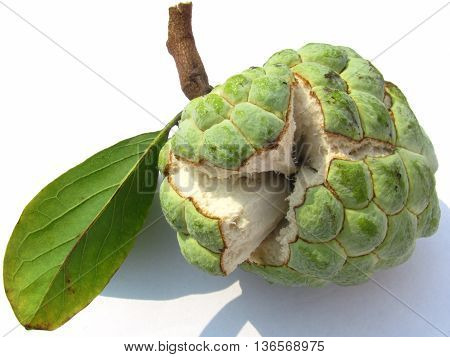 Annona squamosa (also called sugar-pineapple or sweetsop) or custard-pineapple