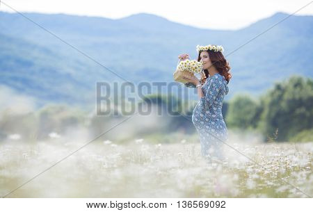 Pregnant brunette woman in a blue dress with small wicker basket with flowers, on the head wears a wreath of flowers white Daisy,walking in the summer field of blooming white daisies on a background of mountains and green trees