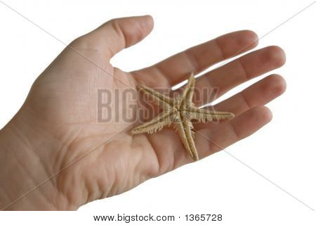 Seastar In una mano