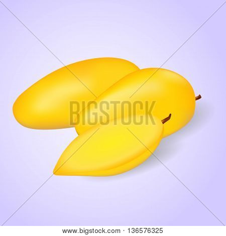 Whole and half cut Mango with shadows on blue background. Vector illustration