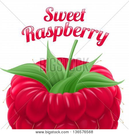 Poster Sweet Raspberry. Fruit and Dessert. Space for Text