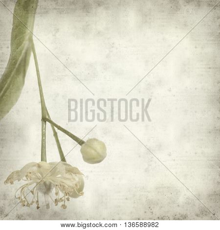Textured Old Paper Background With
