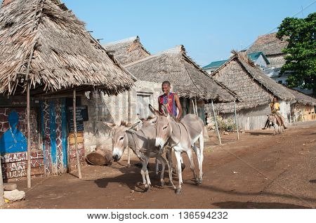 Locals Using A Donkey For Transport In Lamu, Kenya