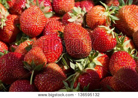 Macro shot of a pile of strawberries