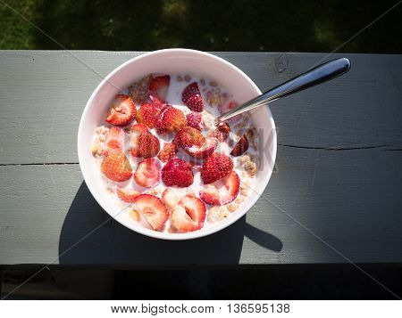 Tasty strawberry soup woth cereal and milk