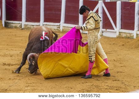 Ubeda Spain - October 4 2010: The Spanish Bullfighter El Fandi bullfighting with the crutch in the Bullring of Ubeda Spain