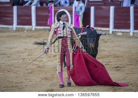 Ubeda Spain - September 29 2010: The Spanish Bullfighter Curro Diaz bullfighting with the crutch in the Bullring of Ubeda Spain