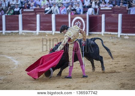 Ubeda Spain - September 29 2010: The Spanish Bullfighter Curro Diaz bullfighting with the crutch in the Bullring of Ubeda Spain