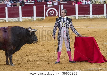 Ubeda Spain - October 4 2010: The Spanish Bullfighter El Cid bullfighting with the crutch in the Bullring of Ubeda Spain