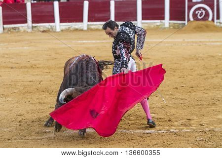 Ubeda Spain - October 4 2010.: The Spanish Bullfighter Daniel Luque bullfighting with the crutch in the Bullring of Ubeda Spain