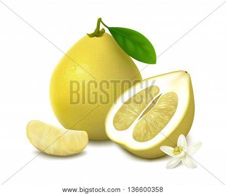 Yellow shaddock fruit with leaf, half of pomelo with white-yellow pulp, slice and flower with shadow, isolated on white background. Vector illustration.