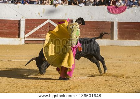 Andujar Spain - September 12 2008: The Spanish Bullfighter Sebastian Castella bullfighting with the crutch in the Bullring of Villacarrillo Spain