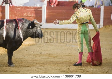 Andujar Spain - September 12 2008: The Spanish Bullfighter Sebastian Castella bullfighting with the crutch in the Bullring of Villacarrillo Spain