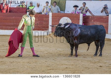 Andujar Spain - September 12 2008: The Spanish Bullfighter Sebastian Castella bullfighting with the crutch in the Bullring of Villacarrillo Spain