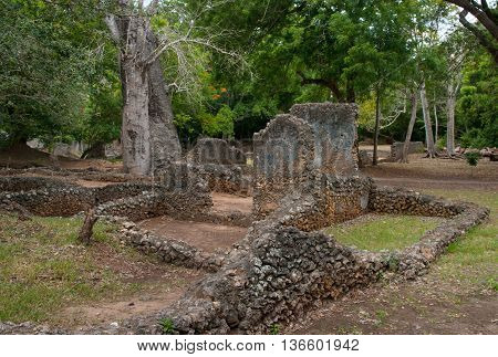 Remains Of  Gede, Near The Town  Malindi In Kenya, Africa