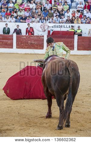 Andujar Spain - September 12 2008: The Spanish Bullfighter Sebastian Castella bullfighting with the crutch in the Bullring of Villacarrillo Spain