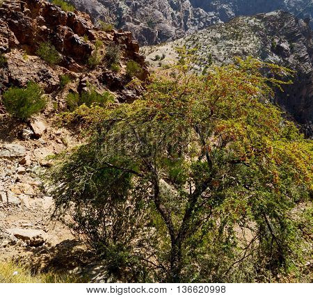 In Oman  The Old Mountain Gorge And Canyon The Deep Cloudy  Sky
