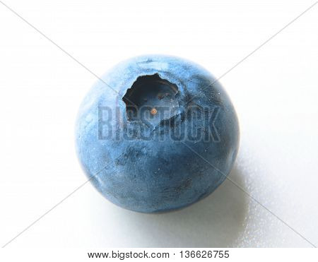 Closeup Of One Delicate And Fresh Blueberry