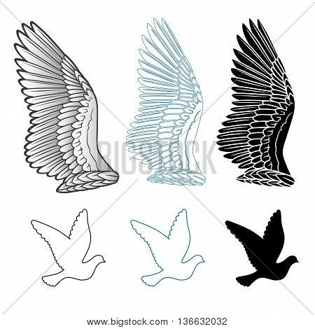 Pigeon wings and dove linear silhouette isolated on white background vector illustration