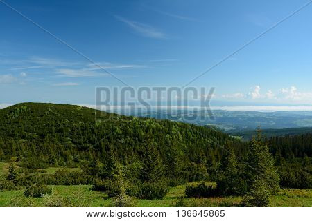 View from trail from Gasienicowa valley to Kuznice in Tatra mountains nearby Zakopane in Poland