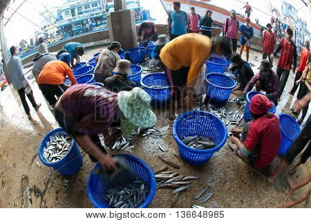 SAMUTSAKORN, THAILAND-SEPTEMBER 17, 2009: Talaythai seafood market, Trading center of fish and seafood products processing integrated in the country on September 17, 2009 in Samutsakorn, Thailand.